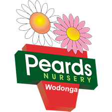 Peards Nursery Wodonga : 